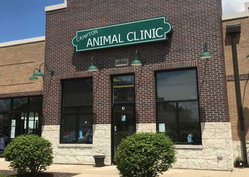 Carousel Slide 3: About our clinic